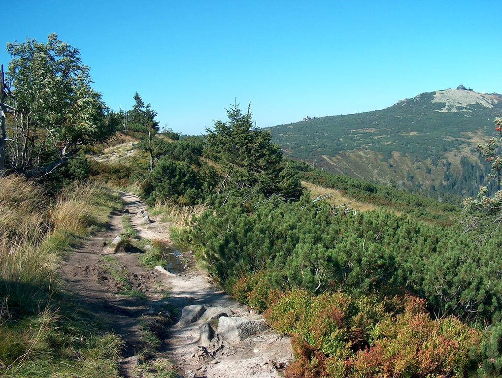 penzion Podlesí Kořenov Esterno foto
