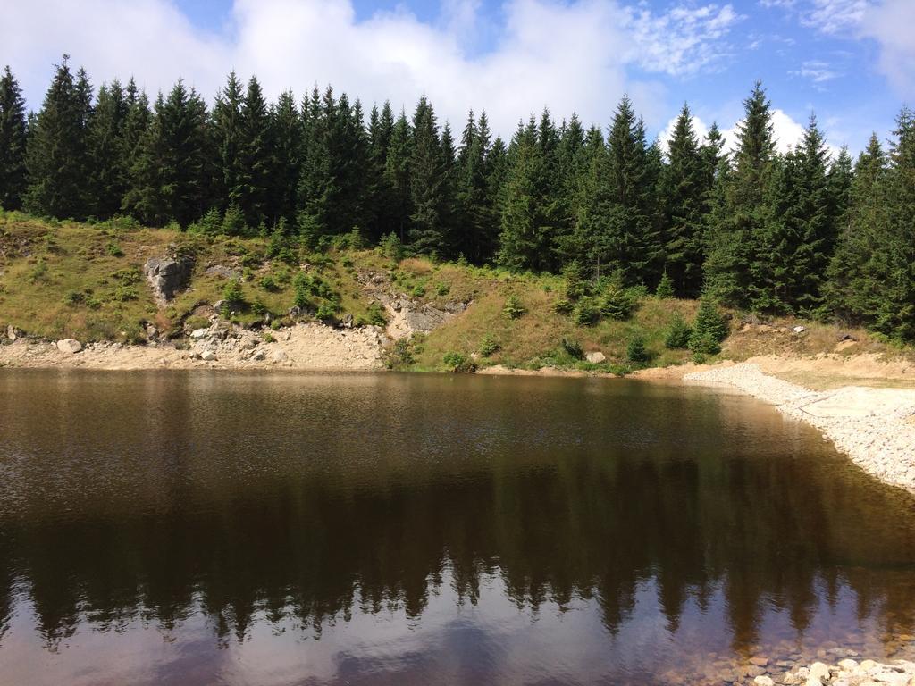 penzion Podlesí Kořenov Esterno foto